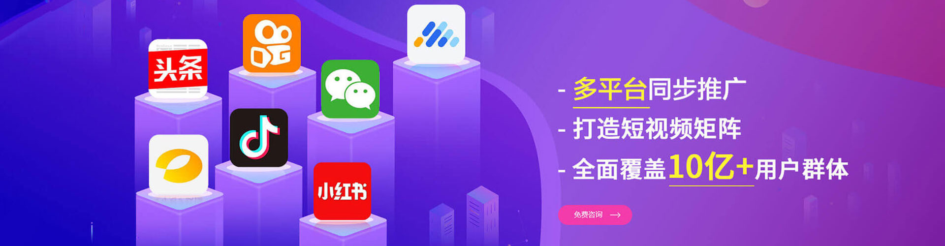 杨梅百度网络推广